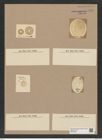 Craspedodiscus coscinodisucs Ehr. (de-Toni-Nr.: Genus 201, Species 4832) Zeichnungen Sammlung Grunow Nr. 8494 (NHMW-BOT-W0377966)
